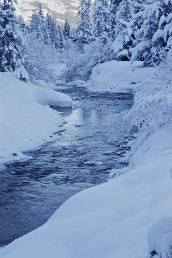 stream in winter with snow