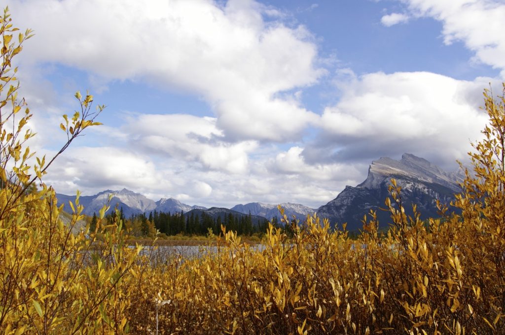 Mt. Rundle in fall