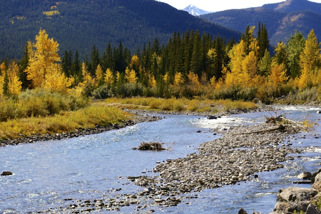 river in fall